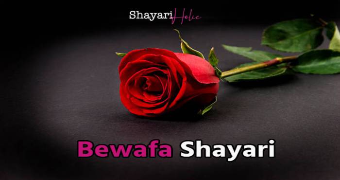 Top 100+ Bewafa Shayari in Hindi 1