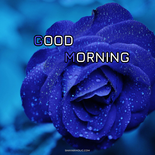 good-morning-images-flower