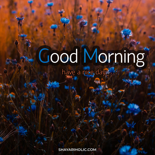 good-morning-images-2022