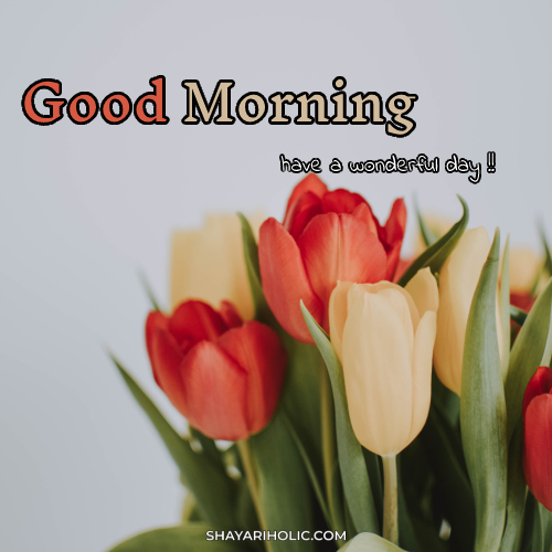 good-morning-images-new