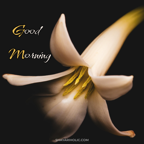 good-morning-images