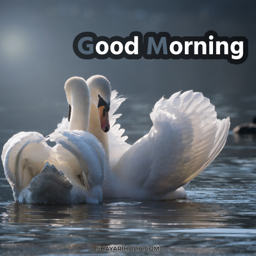 images-good-morning
