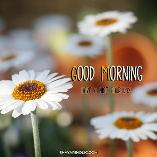 beautiful-thursday-good-morning-images