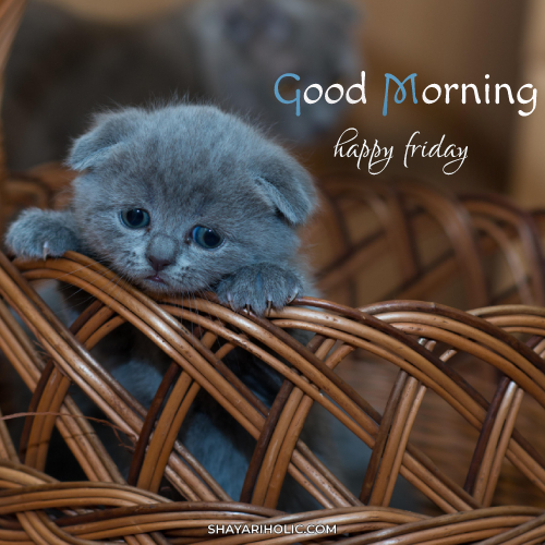 friday-good-morning-images
