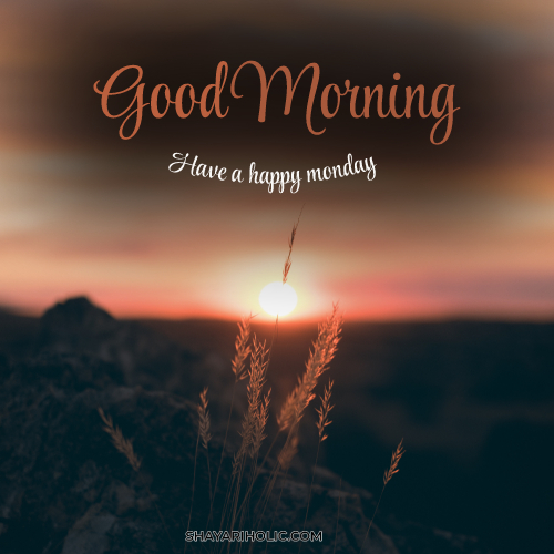 good-morning-happy-monday-images