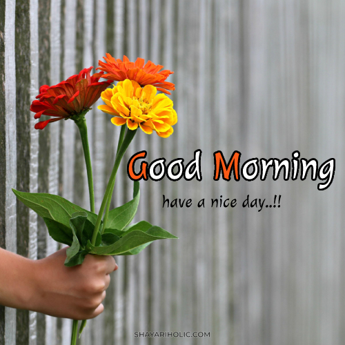 good-morning-images-beautiful