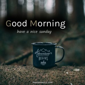 249 Beautiful Good Morning Images Wishes 2023   Good Morning Image Sunday 1 300x300 