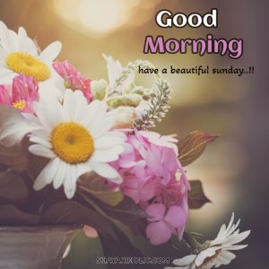 249+ Beautiful Good Morning Images & Wishes - 2023