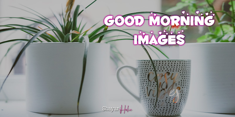 good-morning-images