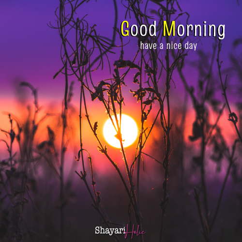 good-morning-images-download