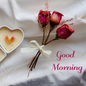 249 Beautiful Good Morning Images Wishes 2023   Good Morning Love Message 300x300 