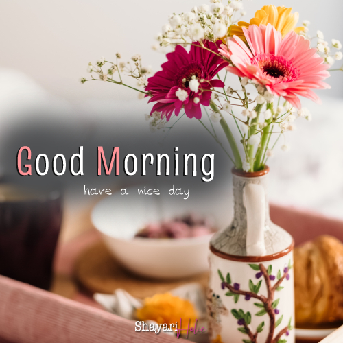 150 + New Good morning images for whatsdapp - Web शायरी