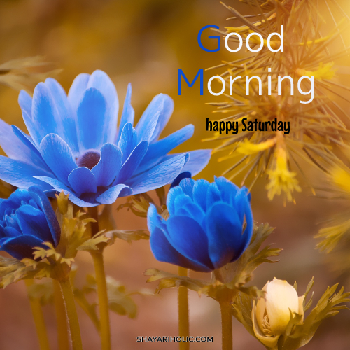 happy-saturday-good-morning-images