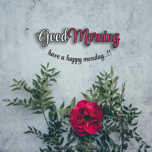 monday-good-morning-images