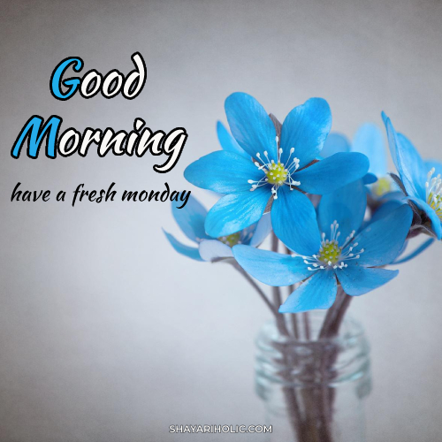 monday-good-morning-wishes
