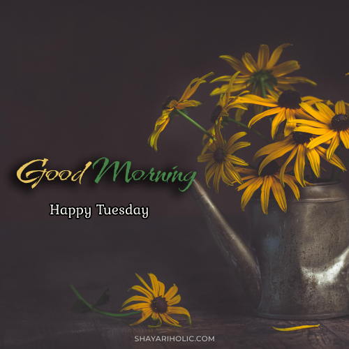 tuesday-good-morning-images