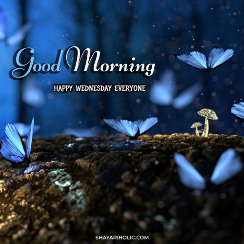 wednesday-good-morning-images