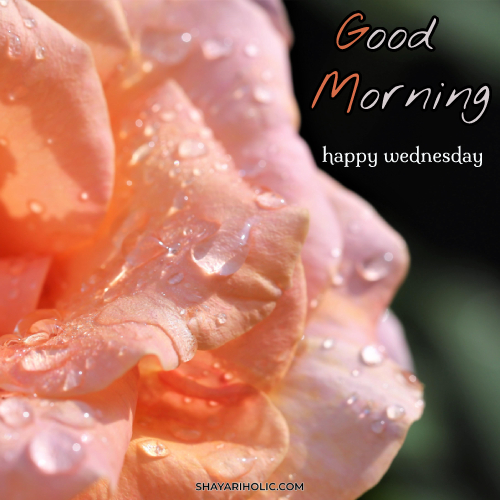 wednesday-good-morning-images-new