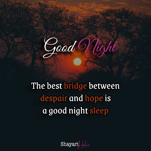 Good Night Motivational Quotes