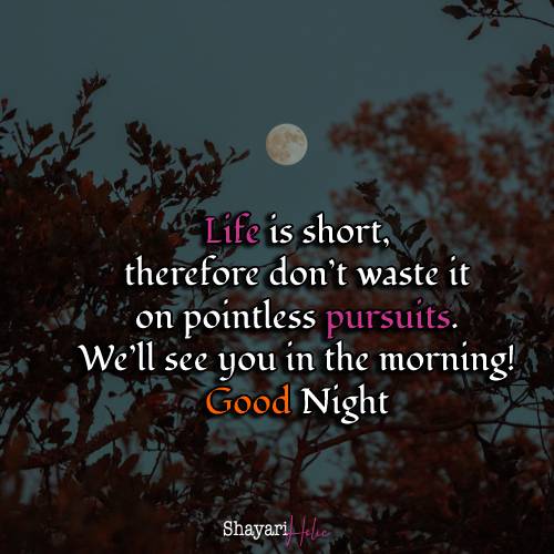 Quotes Good Night 